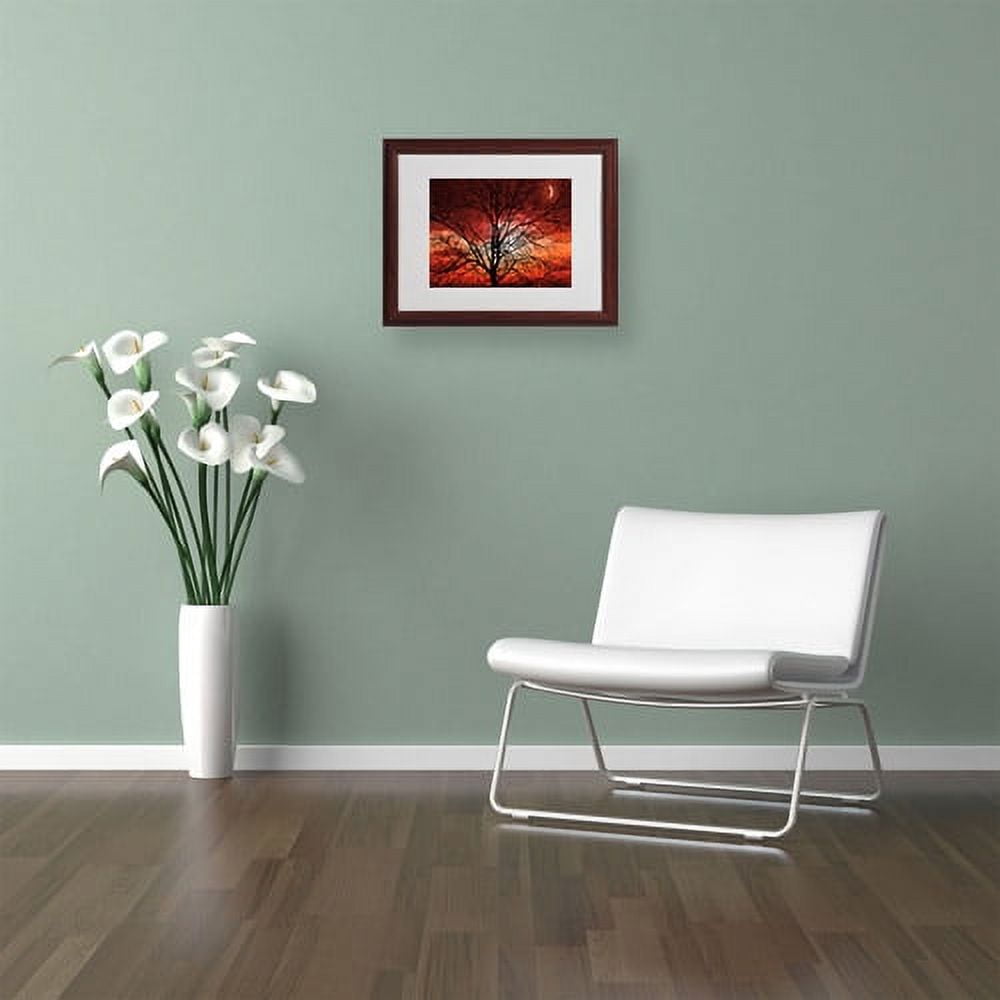 Trademark Fine Art "Big Bad Moon" Canvas Art by Philippe Sainte-Laudy, Wood Frame