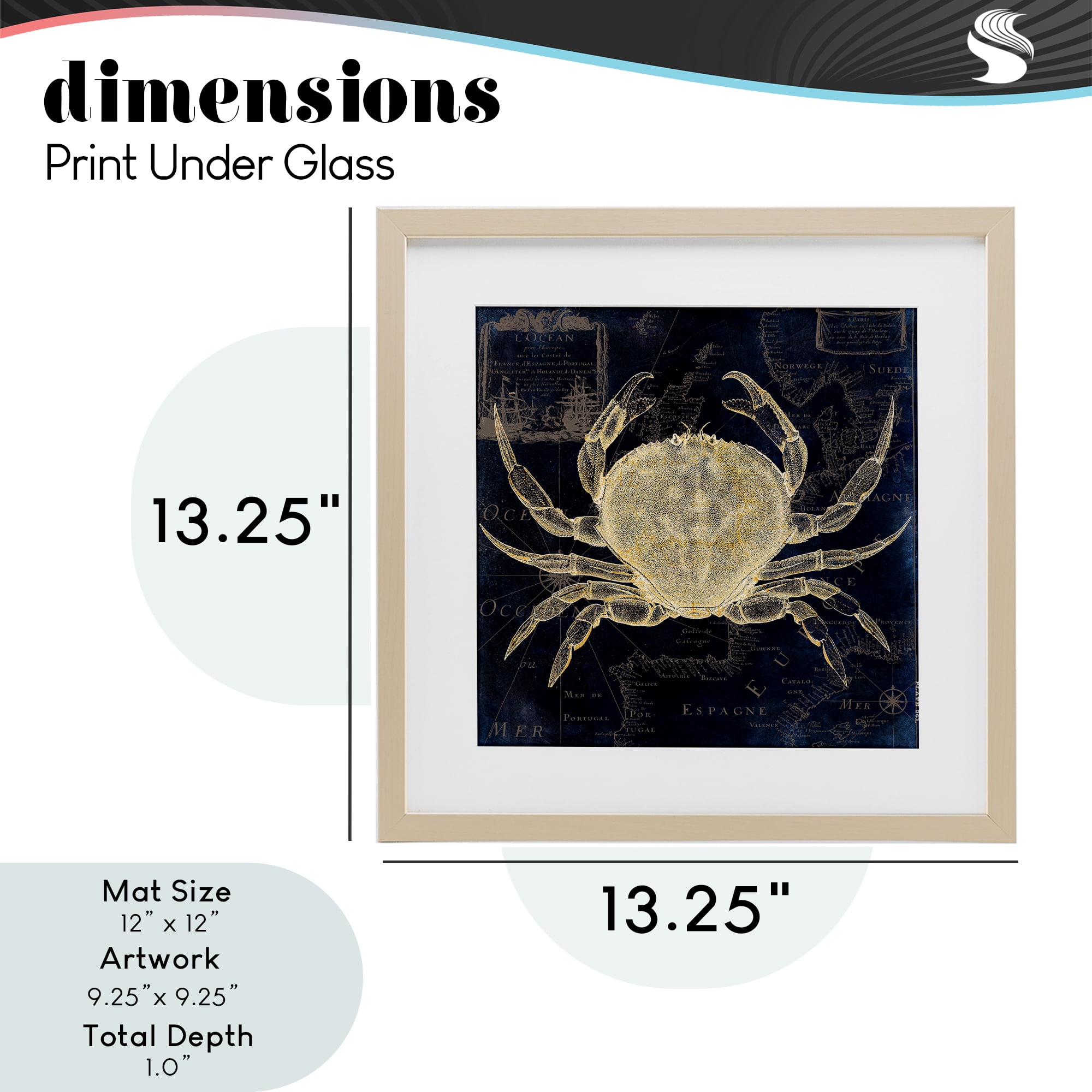 Crab Contour over Map Birch Framed Print Under Glass, design by Sasha