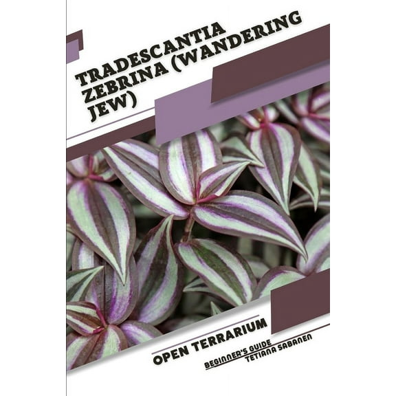 Tradescantia zebrina (Wandering Jew): Open terrarium, Beginner's Guide, (Paperback)