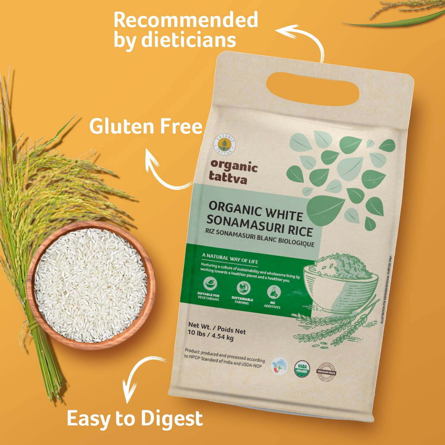 Organic Tattva White Medium Grain Rice 10LB, Lightweight & Naturally Aromatic Sonamasuri Rice, Vegan, Kosher, Non GMO, No Additives, Gluten Free, USDA Certified