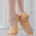 thumbnail image 4 of Zapatos de Ballet de Lona Yuyangstore Tan_33 para Niñas y Mujeres, 4 of 8