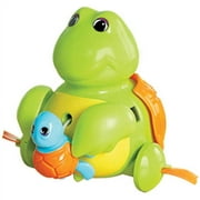 Mother & Baby Turtle