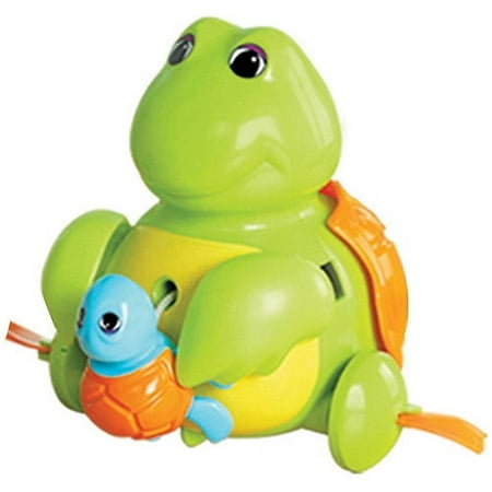 Mother & Baby Turtle