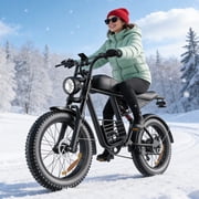 Electric Bike for Adults,750W Motor 1500W Peak,Top Speed 30MPH, Max 55miles,20×4.0 Fat Tires,48V 20Ah Battery,UL 2849,Fit for 18+