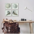 thumbnail image 2 of Stupell Industries Detailed Seashells Ocean Life Painting White Framed Art Print Wall Art, Set of 4, Design by Erica Christopher, 2 of 8