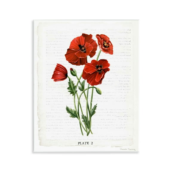 Stupell Industries Vintage Poppy Study Floral Painting Unframed Art Print Wall Art, 11 x 14