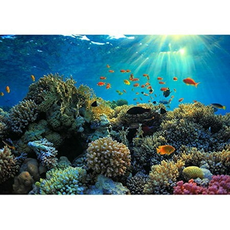 wall26 - Beautiful View of Sea Life - Removable Wall Mural | Self-adhesive Large Wallpaper - 66x96 (Best View Wallpaper Hd)