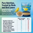 thumbnail image 4 of Birds LOVE Alpiste Canary Seed Bird Food, Canadian Grown, Packed in USA, Natural Single Ingredient Seed, Double Cleaned, Non GMO, Low Dust, Resealable 5 lb Bag, 4 of 13