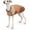 Brown, variant on HQREA Winter Warm Dog Coat for Italian Greyhound Lightweight Dog Snow Jacket for Whippet Dogs