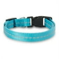 thumbnail image 3 of Vibrant Life Solid Nylon Dog Collar, Teal, Small, 3 of 6