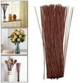 thumbnail image 3 of 100Pcs Wire 24cm Twig Stem Handcrafts Flower Twig Supplies Brown, 3 of 8