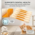 thumbnail image 3 of Catnip Cat Chew Sticks 6pk, Durable Dental Teething Toys, Interactive Kicker for Indoor Cats, 3 of 7