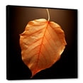 thumbnail image 2 of Designart "Maple Foliage With Tangerine Orange Translucency" Leaves Floater Framed Canvas Wall Art, 2 of 5