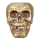 thumbnail image 1 of maceta con cabeza de calavera Allinless decoración de Halloween 18.00X11.50X14.00cm, 1 of 3