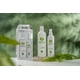 thumbnail image 2 of Kit Tratamiento Capilar Reparador Anticaída / Alopecia – Shampoo Dermolimpiador + Loción Para Acelerar El Crecimiento Del Cabello Preserva® Preserva PRESERVA Tratamiento Capilar Anticaída, 2 of 6