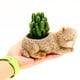 thumbnail image 5 of Macetas con forma de animales para decorar el escritorio de la oficina. Macetas creativas para flores y plantas. El 155x85x85 cm, 5 of 7