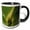 Black/White, variant on 3drose, Usa, Florida, Palmetto, Sabal Palmetto, Detail, 15oz Two-tone Green Mug