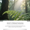 thumbnail image 5 of 32Oz Plant Boost Liquid Nutrient, Highly Concentrated Organic Plant Food With Balanced Nutrients To Enhance Growth, Boost Yield And Strengthen Root System For Indoor & Outdoor, 5 of 9