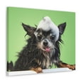 thumbnail image 5 of Funny Chihuahua Bath Canvas Wall Art for Home Decor Ready-to-Hang, 5 of 18