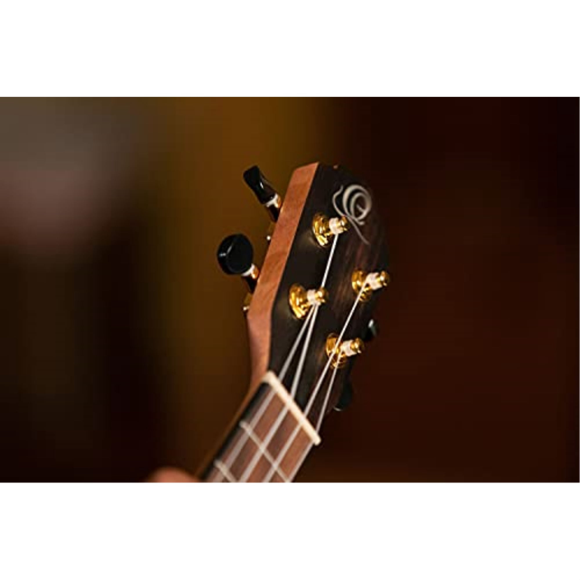 Ortega Ebony Series RUEB-CC Concert Size Ebony Wood Ukulele w/Deluxe Bag