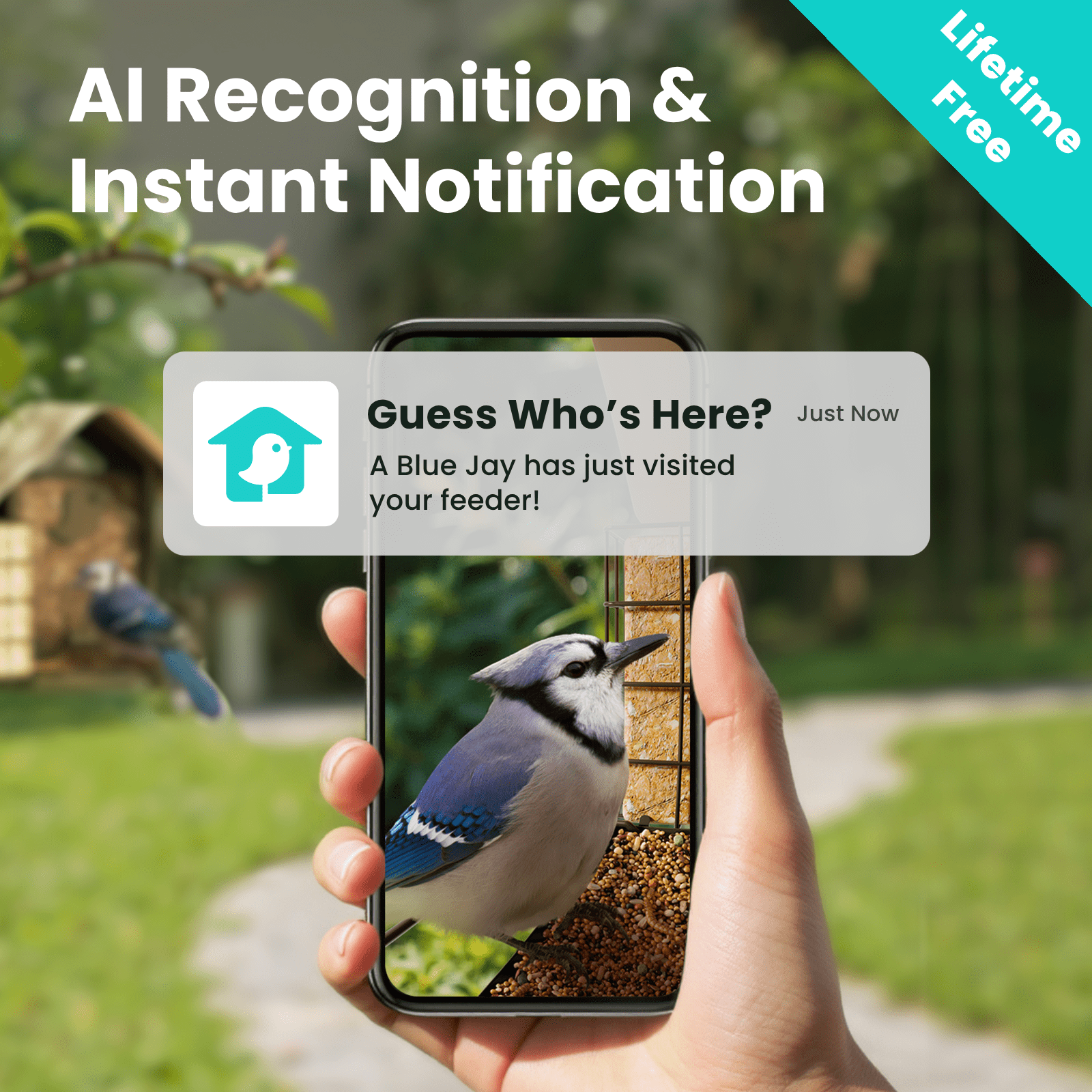 Birdfy Smart Bird Feeder with Camera, 1080P HD 60FPS Video, AI Bird Identification Lifetime Free, Night Vision, Metal Bird Feeder, Gift for Bird Lovers, Metal V AI