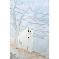 thumbnail image 2 of Derr, Wynn 11x14 Black Modern Framed Museum Art Print Titled - Mountain Goat, 2 of 4