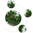 thumbnail image 3 of Dried Artificial Moss Lining Decor Flower Hanging Baskets Gardening Crafts, 3 of 7