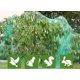 thumbnail image 2 of Red de jardín XCF 2 m X 10 m red antipájaros para plantas frutas y verduras, 2 of 4