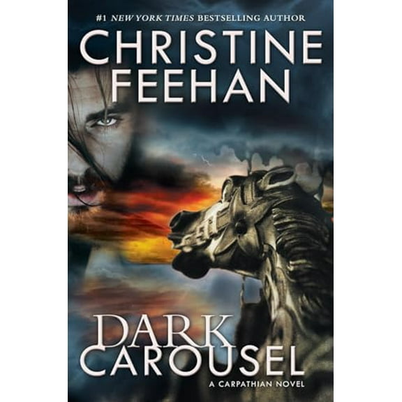 Pre-Owned Dark Carousel (Hardcover) 0425281965 9780425281963