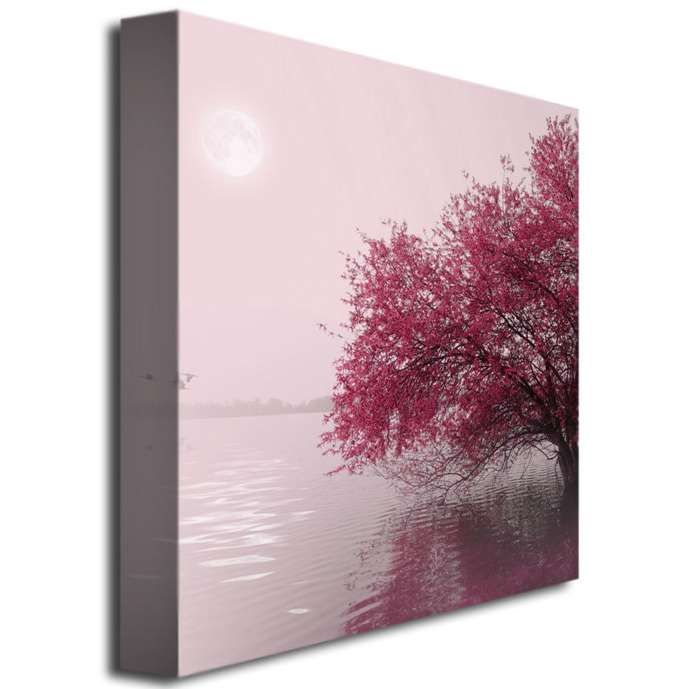 Trademark Art "Full Moon on the Lake" Canvas Art by Philippe Sainte-Laudy