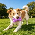 thumbnail image 5 of FTsdfkl 3.5Inch Soft Small Rubber Bone Pet Dog Puppy Cat Toys,Interactive For Cats Play Tug Chew Exercise, Colorful Dot Toy for Puppy Games, 5 of 5