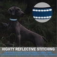 thumbnail image 3 of Dog Collar, Reflective Adjustable Basic with Soft Neoprene Padding, Durable Nylon Collars for Puppy Small Medium Large Dogs,Light Blue,L:17.5-27.5inch, 3 of 4