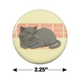 thumbnail image 3 of Chubby British Short Hair Grey Cat Kitchen Refrigerator Locker Button Magnet, 3 of 5