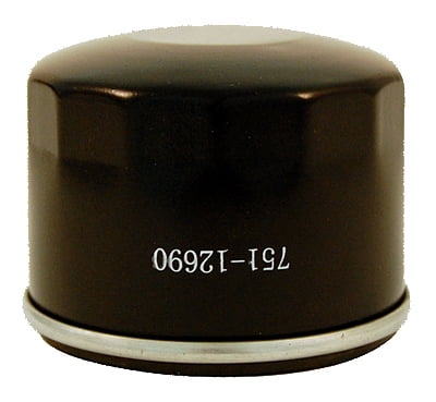 troy bilt filter oil
