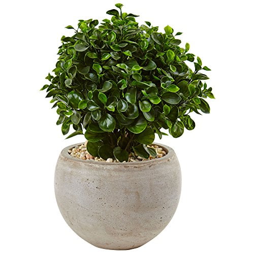 Nearly Natural 2‚„ Eucalyptus Silk Plant in Sand Colored Bowl, Green