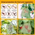 thumbnail image 4 of Dsseng 20 Pcs Green Organza Drawstring Gift Bags  Plastic Breathable Mesh Pouches for Fruit  Candy  Christmas Holiday Gift Packaging Storage, 4 of 4