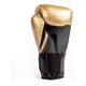 thumbnail image 3 of Guante Box Everlast Elite Pro Style 16 Oz, 3 of 6