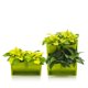 thumbnail image 4 of En La Pared Maceta De Pared Maceta Suculenta Apilable Para Decoración De Interiores Y Exteriores Sweethay HA044057-02, 4 of 6