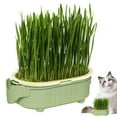 thumbnail image 3 of 2pcs Cat Grass Planter, Cat Grass, Cat Grass Kit, Cat Grass Growing Kit, Easy to , Nursery Plants, Suitable for Indoor, 3 of 10