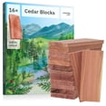 thumbnail image 1 of Ambientador de armario Inovida con bloques de madera de cedro, 16 unidades, 1 of 6