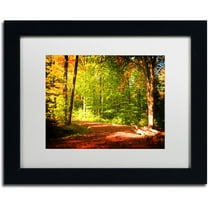 Trademark Fine Art "Breaking The Fall Silence" Canvas Art by Philippe Sainte-Laudy White Matte, Black Frame
