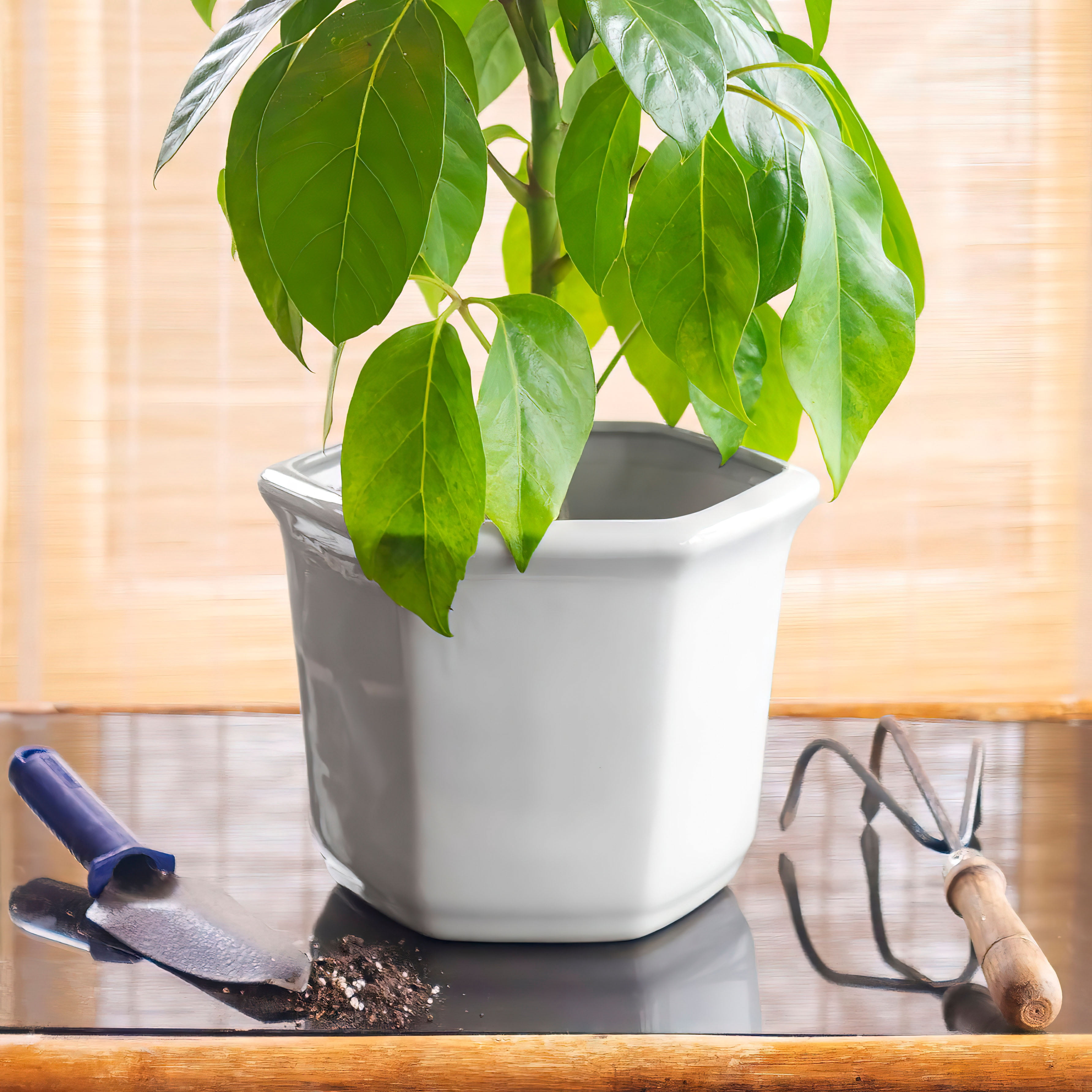 10" White Porcelain Flower Pot