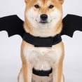 thumbnail image 6 of Linnome Halloween Black Wings Pet Harness Costume Accessory Adjustable Neck Chest Straps With for Small Medium Dogs Cats Party Photo Prop, 6 of 8