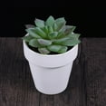 thumbnail image 2 of Sparsain 10 Pack 2.5" x 2.5" White Terracotta Pots Small Clay Ceramic Cactus Flower Planter Nursery Pots with Hole, 2 of 6