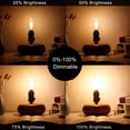 thumbnail image 4 of Bombilla LiteHistory e12 LED regulable G16,5 6 W 600 lm 2700 K, 4 of 8