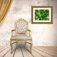 thumbnail image 3 of Young, Chamira 18x15 Gold Ornate Wood Framed with Double Matting Museum Art Print Titled - Large Leaves, 3 of 4