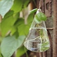 thumbnail image 3 of Terrario colgante de cristal con forma de gota de agua y flores, contenedor para decoración del hogar y el jardín, botella de cristal, 3 of 8