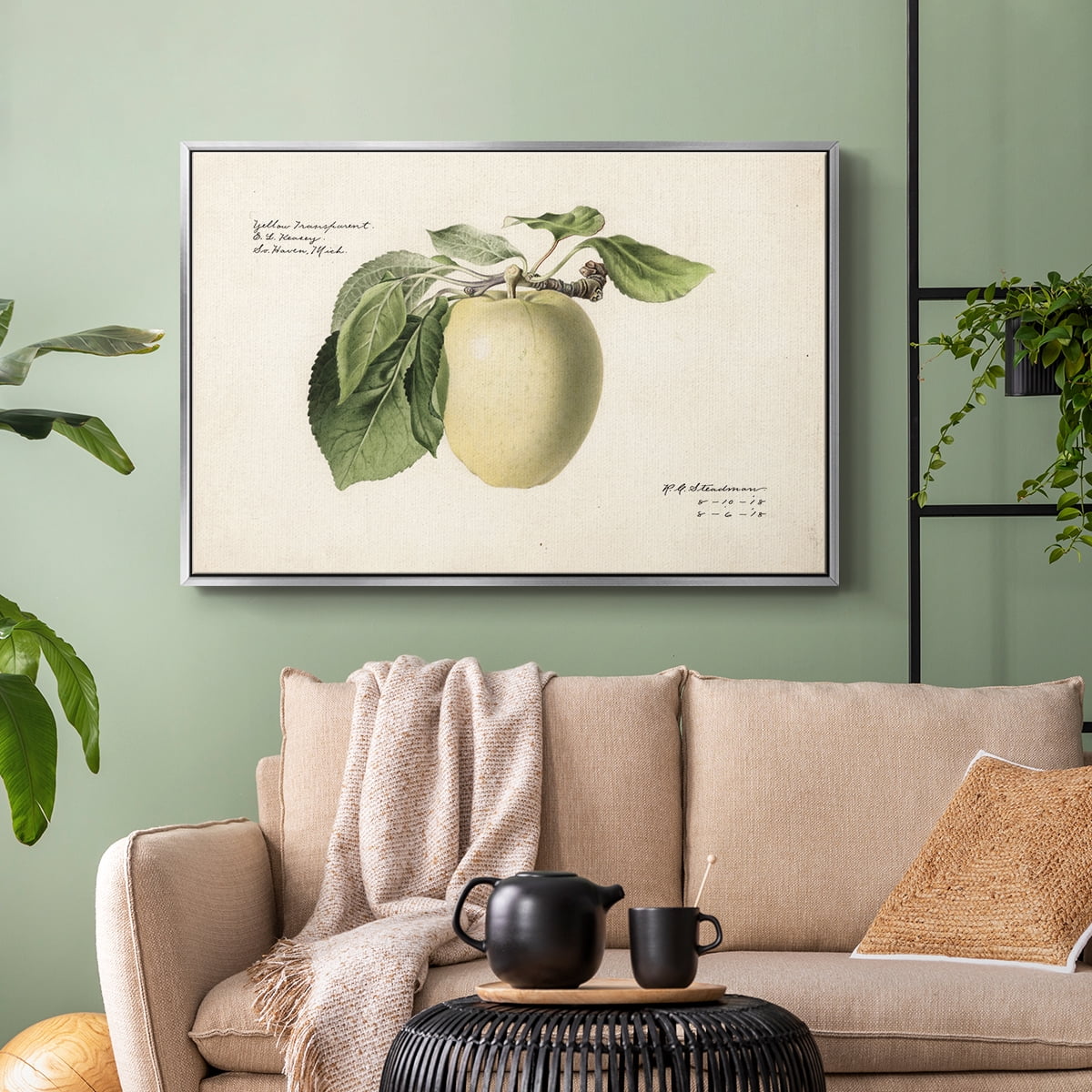 Vintage Botanical Print-XLV By Wexford Home Framed in Silver Wood Gallery Wrapped Canvas 17 in. x 25 in.