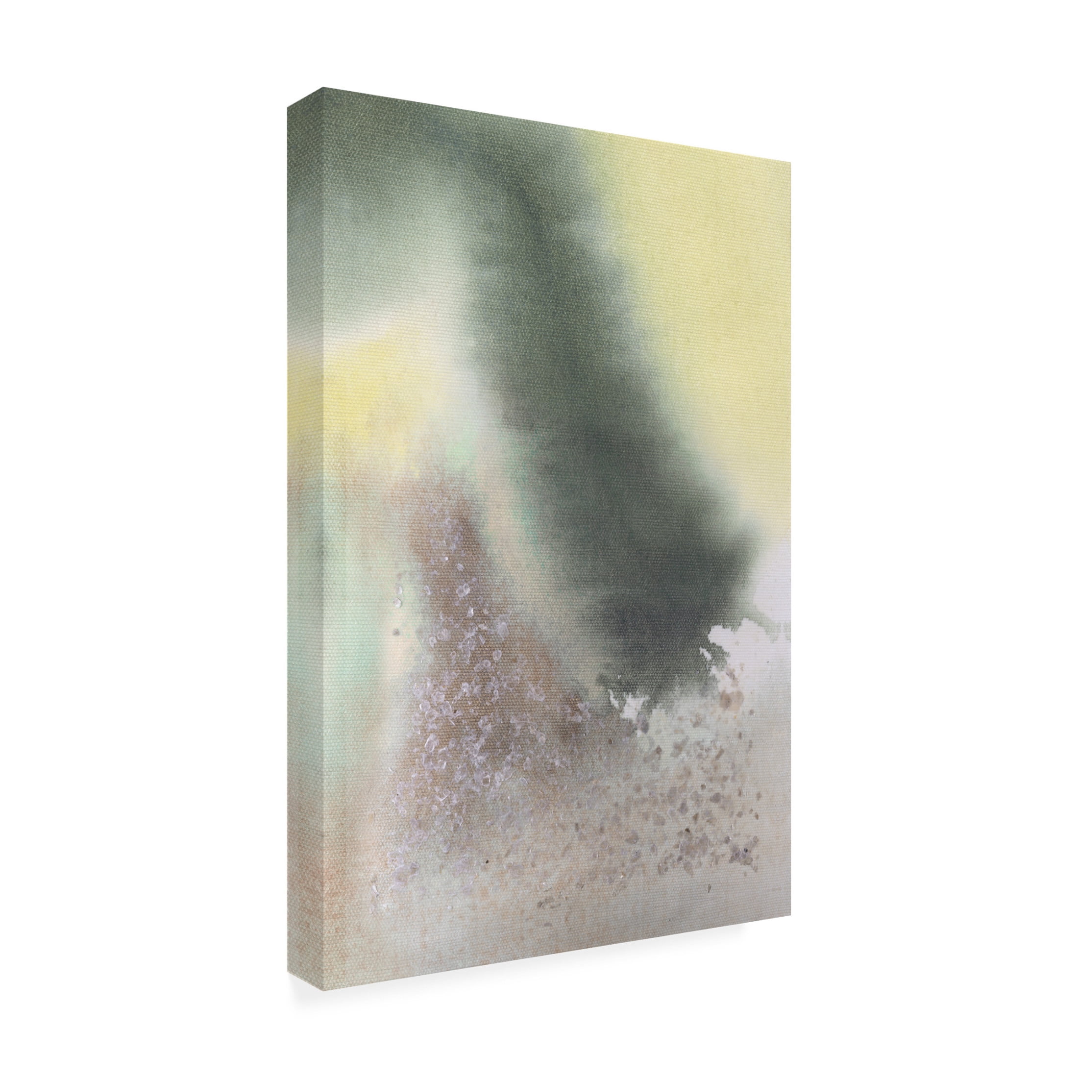 Canvas Wall Art - Vanna Lam 'Sorus I' Wall Art for Living Room, Bedroom, or Office Décor by Trademark Fine Art - 30 x 47 Inches