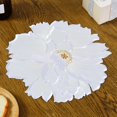 thumbnail image 4 of Placemat Good Heat Insulation Non-slip Washable Flower Embroidery Lace Kitchen Dining Table Place Mat for Home White One Size, 4 of 13